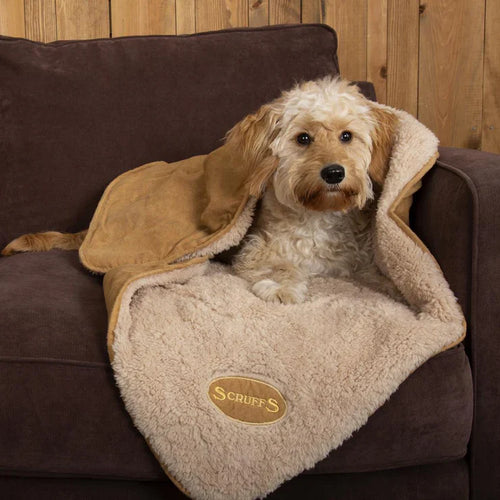 Dog Beds