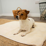 Ancol Self-Heating Pet Pad – Cat/Dog Bed - Valuepet.ie