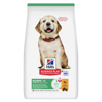 Hill's Science Plan Puppy Large Breed with Chicken dry dog food bag, front of pack