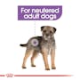 Royal Canin Sterilised Loaf Dog food 85g Pouch - Valuepet.ie