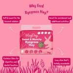 Sweet & Munchy Ryegrass Hay 1kg