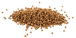 Tetra Goldfish Sticks floating food sticks close up