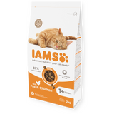 IAMS Adult Cat Food with Chicken 2kg