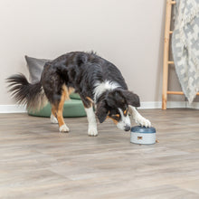 Dog Activity Buzzer Plastic 14 x 9.5cm - Valuepet.ie