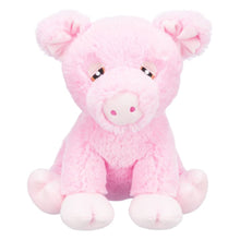 Be Eco Piggy Plush Dog Toy 24cm - Valuepet.ie