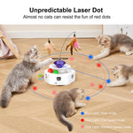 PawGuard TY-827 cat toy USB charging