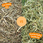 Tasty Timothy Hay