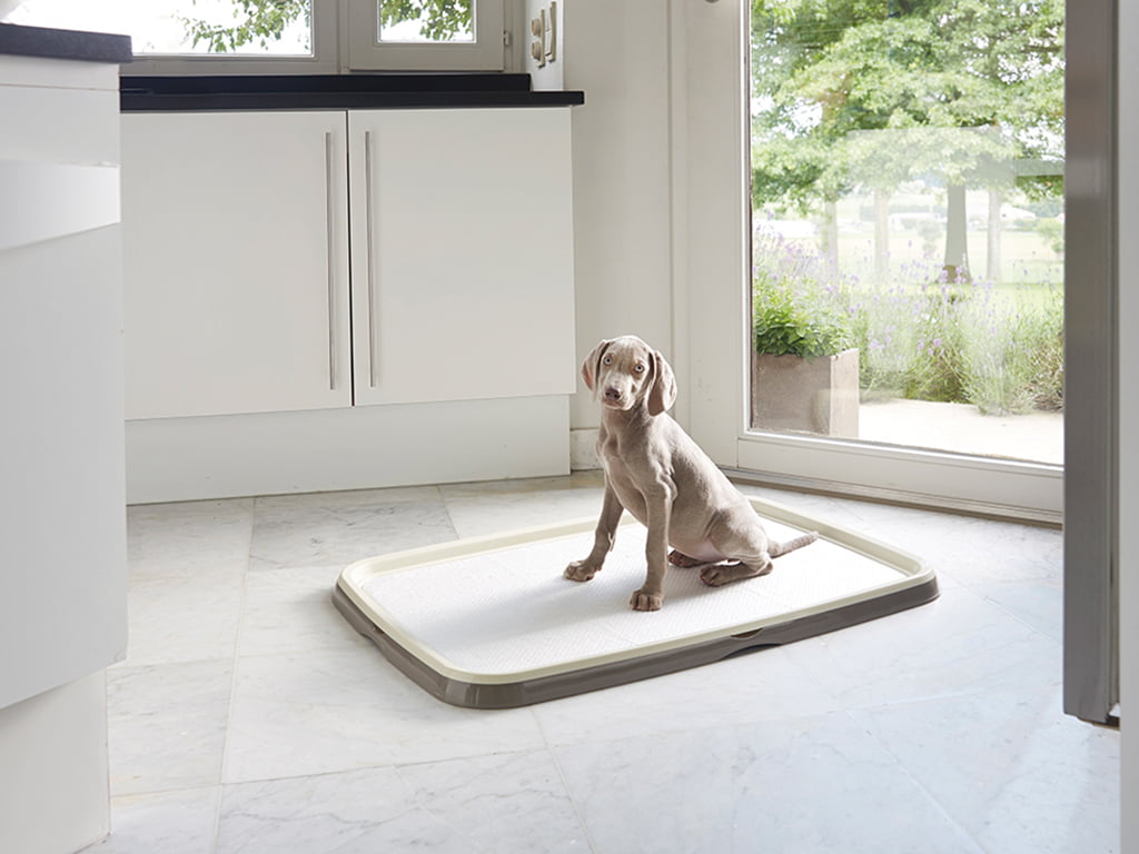 Savic Puppy Training Starter Kit - PetWorld