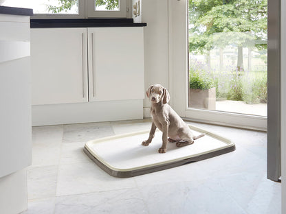 Savic Puppy Training Starter Kit - PetWorld