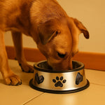 Trixie Dog Bowl Stainless Steel