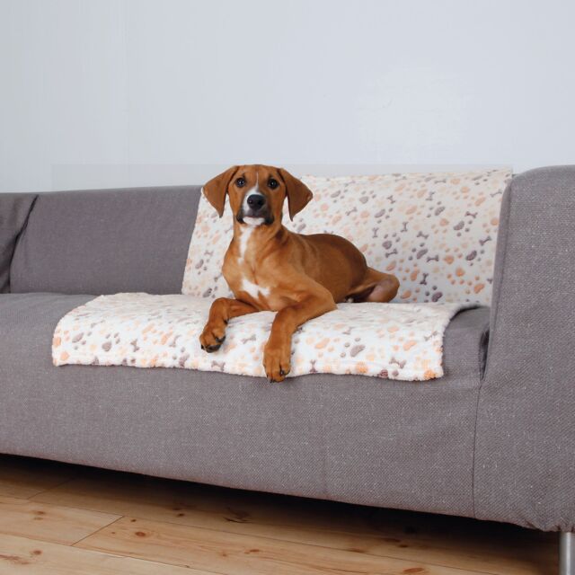 Lingo Plush Dog Blanket – Pawprint & Bones Design - Valuepet.ie