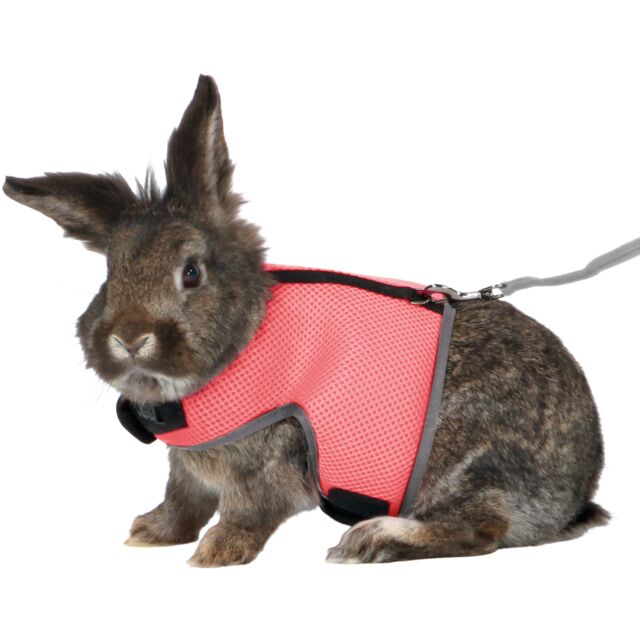 Soft Harness with Leash For Small Pets - Valuepet.ie