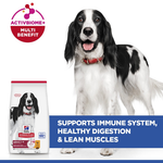 Hill's Science Plan Medium Adult Dog Food with Chicken