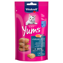 Cat Yums Salmon 40g - Valuepet.ie