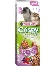 Versele Laga Rabbit and Chinchilla Fruit Sticks - PetWorld