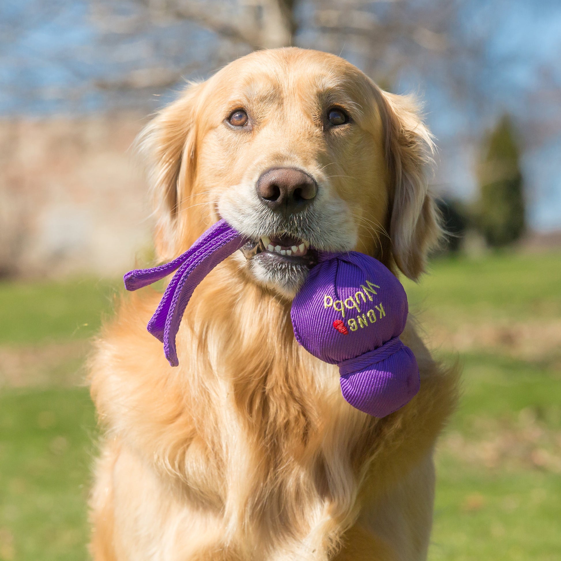 KONG  Wubba X-Large - Valuepet.ie