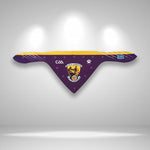 Wexford GAA Pet Bandana