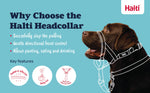 Halti Headcollar for Dogs