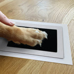 Dog paw being pressed onto the Oh So Precious XL clean touch ink pad