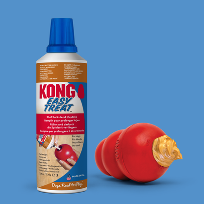 KONG  Easy Treat Peanut Butter Paste - Valuepet.ie