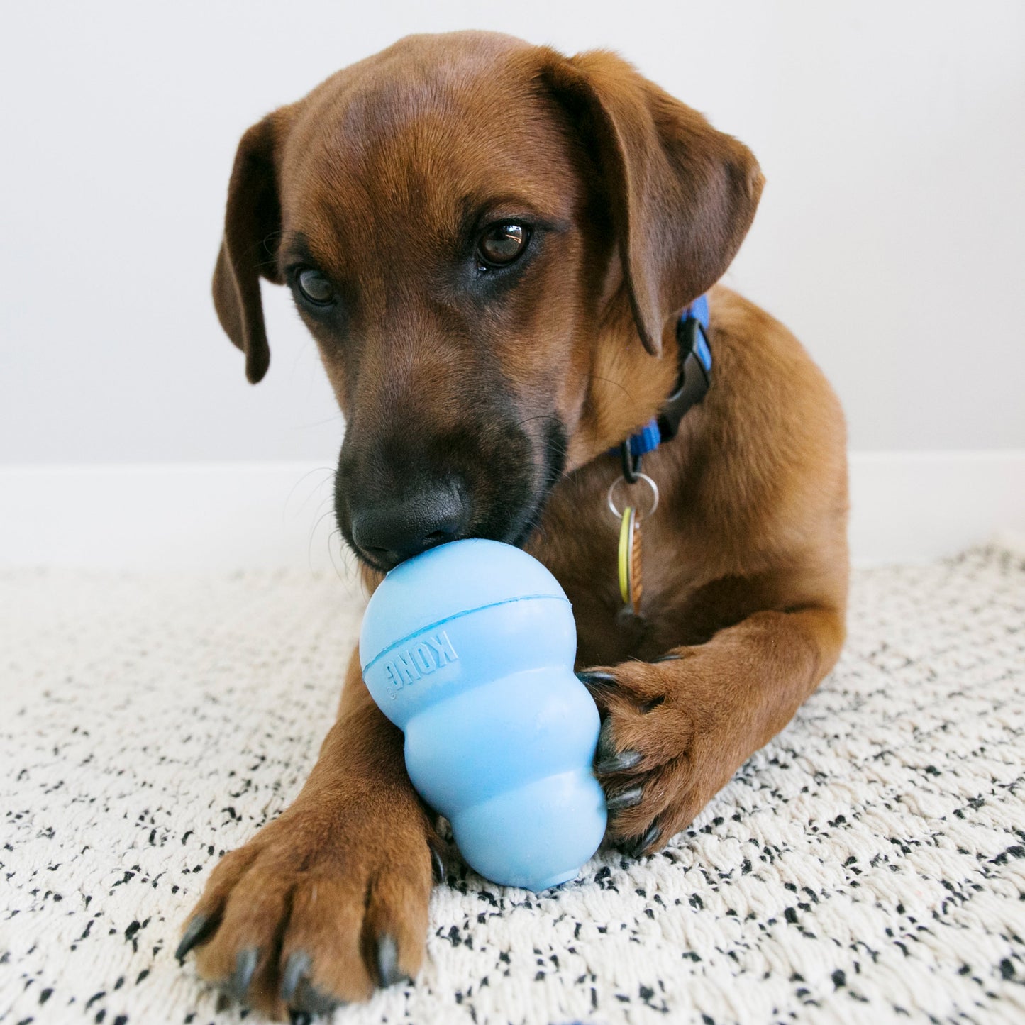 KONG Snacks Puppy - Valuepet.ie