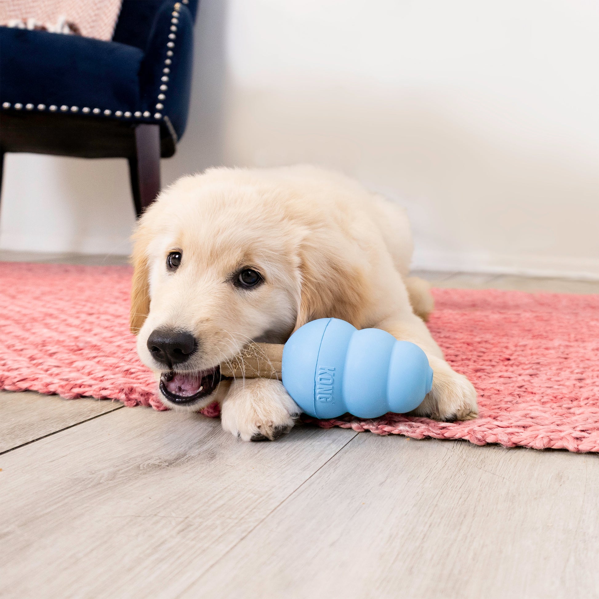 KONG Ziggies Puppy - Valuepet.ie