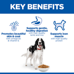 Hill's Science Plan Medium Adult Dog Food with Lamb & Rice