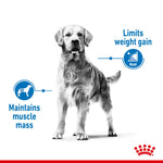 Royal Canin Medium Light Weight Care benefits: limits weight gain and maintains muscle mass