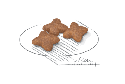 Royal Canin Mini Adult Dog Food - PetWorld