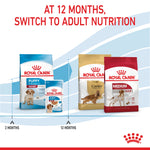 Royal Canin Medium Puppy graphic: at 12 months switch to Medium Adult nutrition