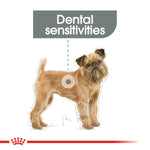 Small breed dog: Royal Canin Mini Dental Care for dogs with dental sensitivities