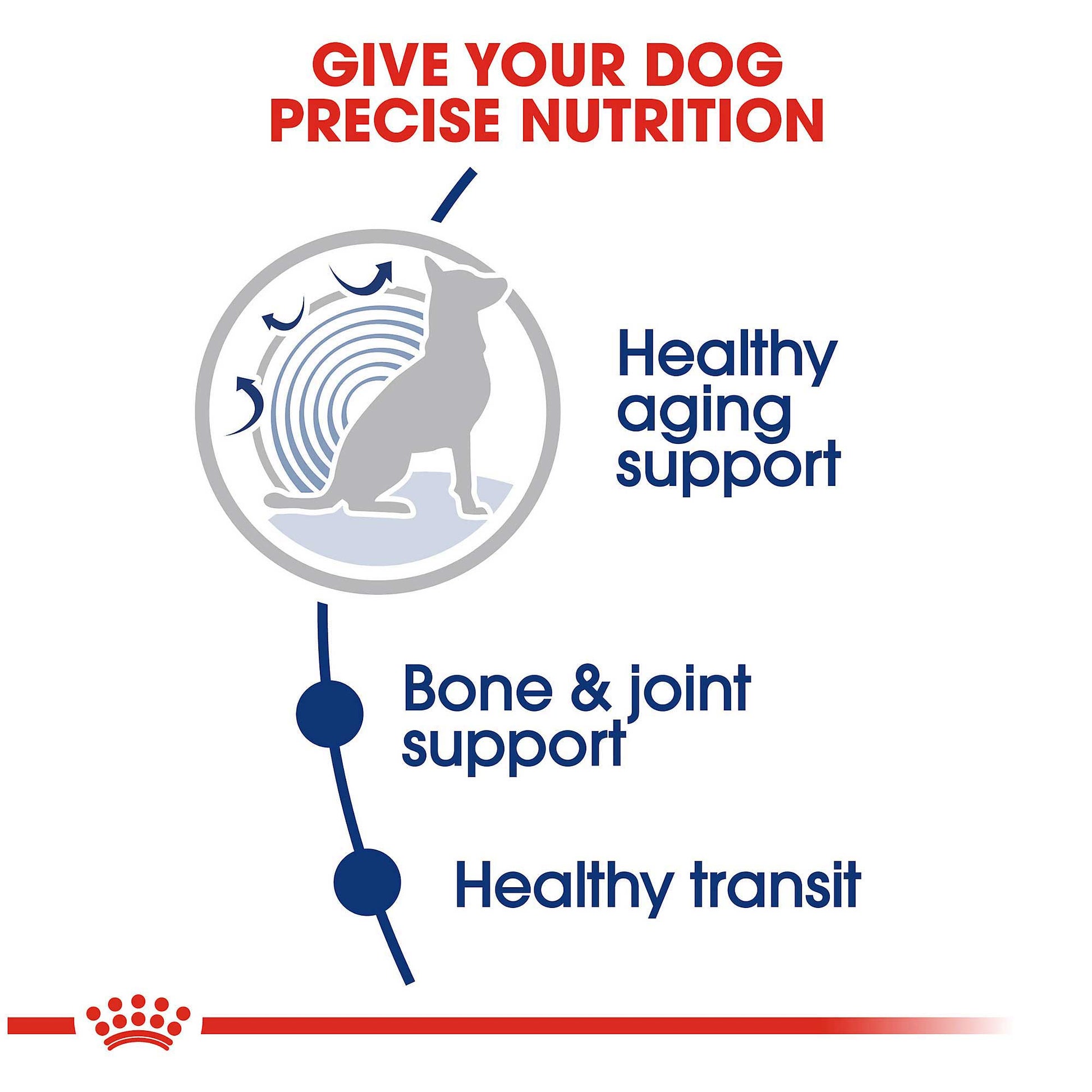 Royal Canin Maxi Ageing 8+Dog Food - PetWorld