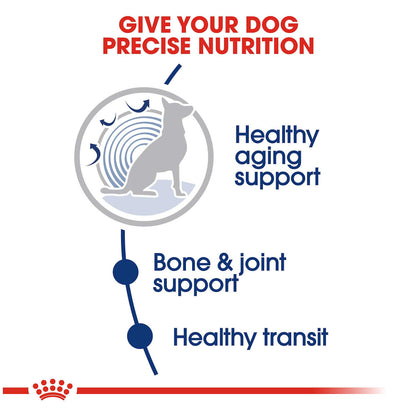 Royal Canin Maxi Ageing 8+Dog Food - PetWorld