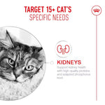 Royal Canin Ageing 15+ Cat Food