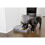 2 meal pet feeder automatic