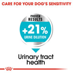 Royal Canin Mini Urinary Care proven results: 21% more urine dilution for urinary tract health