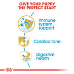 Royal Canin Cavalier King Charles Puppy benefits: immune system support, cardiac tone, digestive health