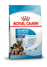 Royal Canin Maxi Starter Mother and Babydog Dry Food