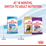 Royal Canin Giant Junior graphic: at 18 months switch to Giant Adult nutrition