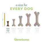 Benebone Maple Stick