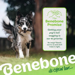 Benebone Maple Stick