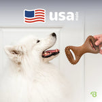 Benebone Dental Chew Bacon