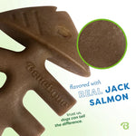 Benebone Salmon Fishbone