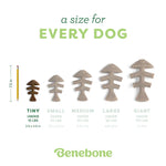 Benebone Salmon Fishbone