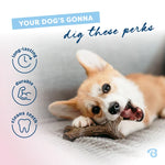 Benebone Puppy Maple Stick Small