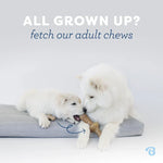 Benebone Puppy Maple Stick Small