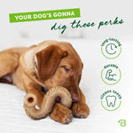 Benebone Tripe Bone