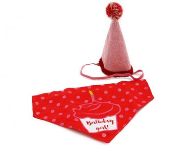 Pink Happy Birthday Bandana and Hat set - Valuepet.ie
