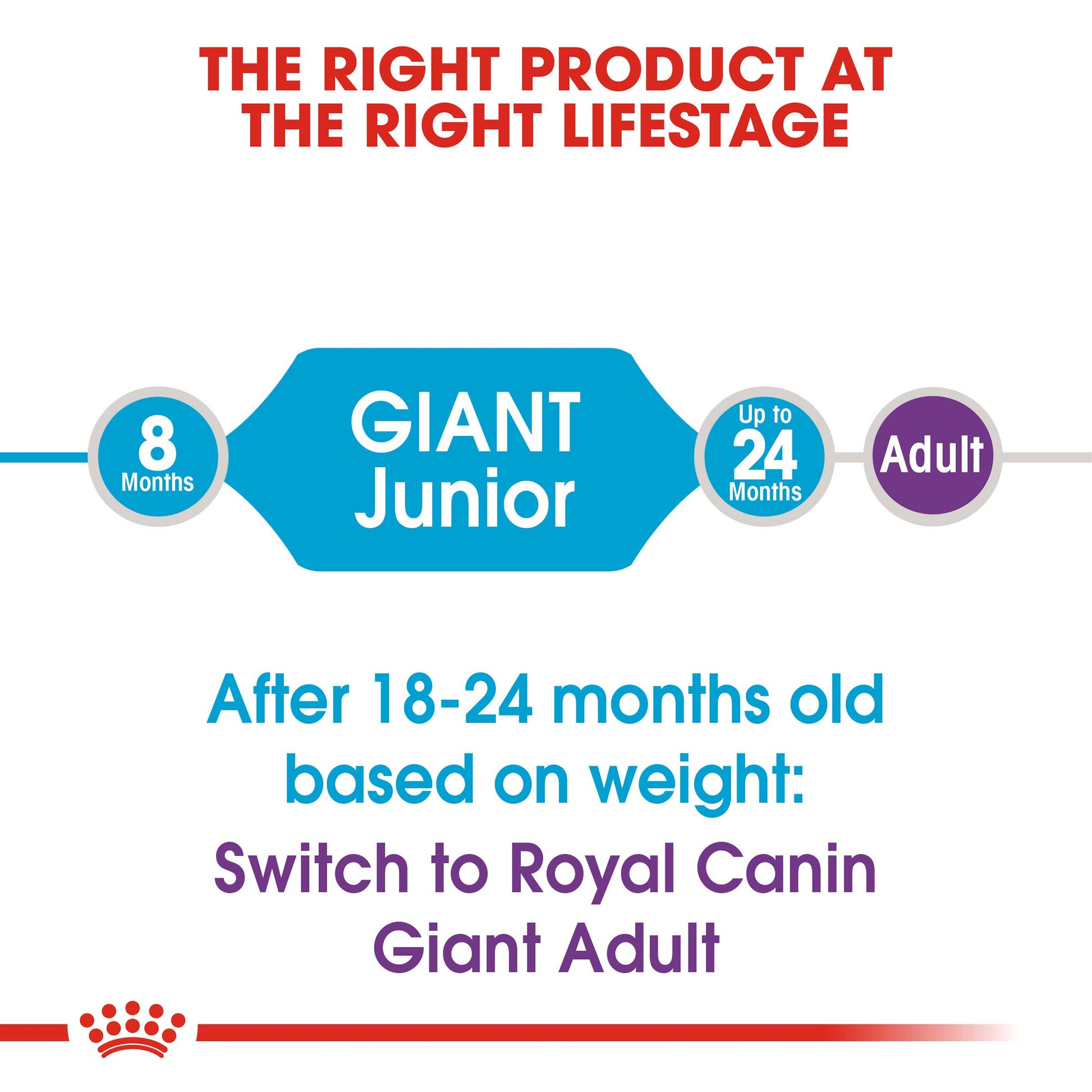 Royal Canin Giant Junior Dog Food - PetWorld