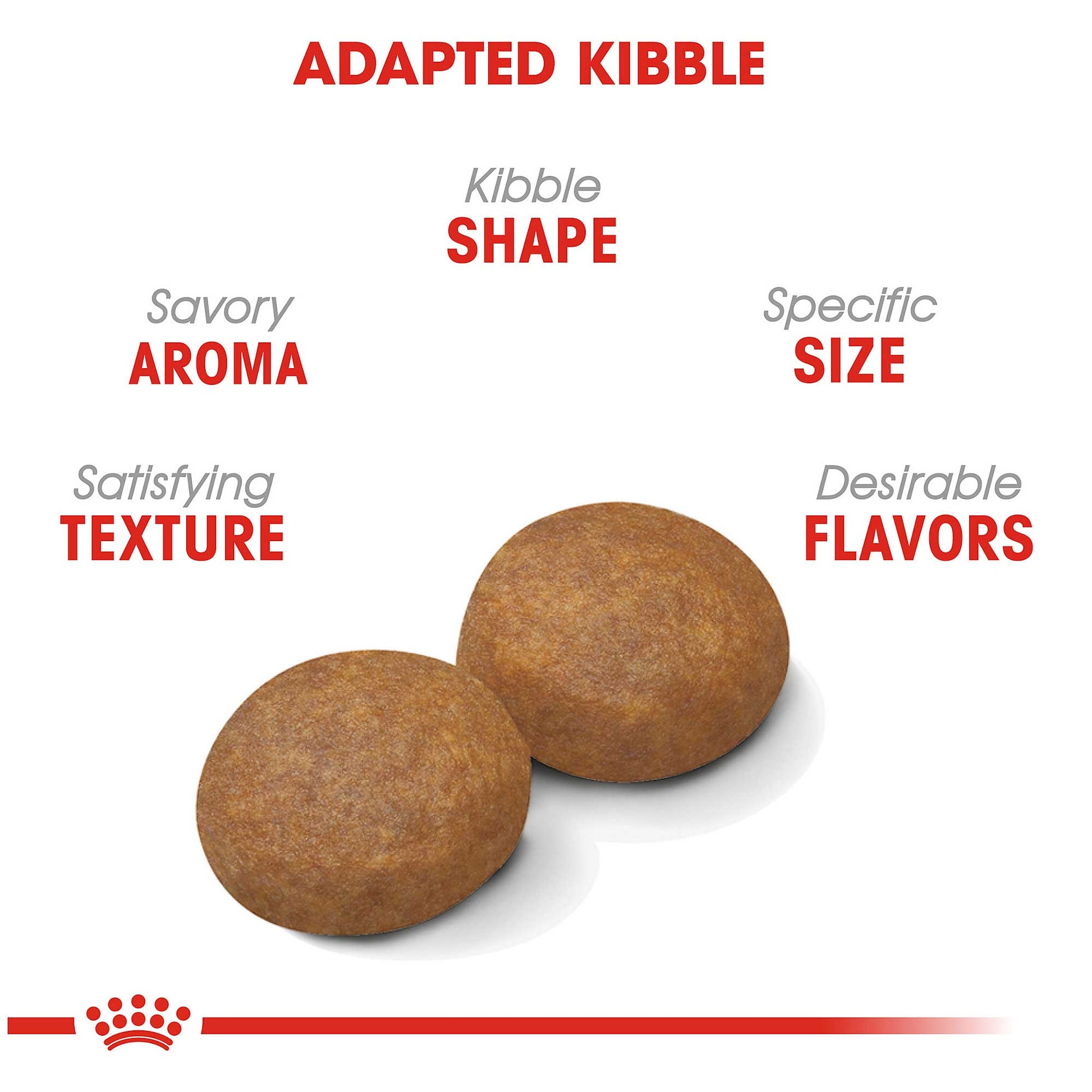 Royal Canin Maxi Adult 5+ Dog Food - PetWorld